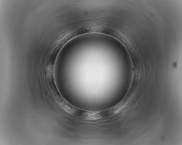 X0000091920093200709051449