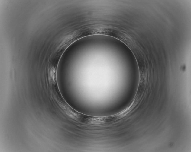 X0000091920094200709051449