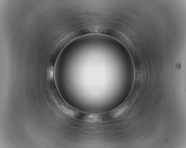 X0000091920095200709051449
