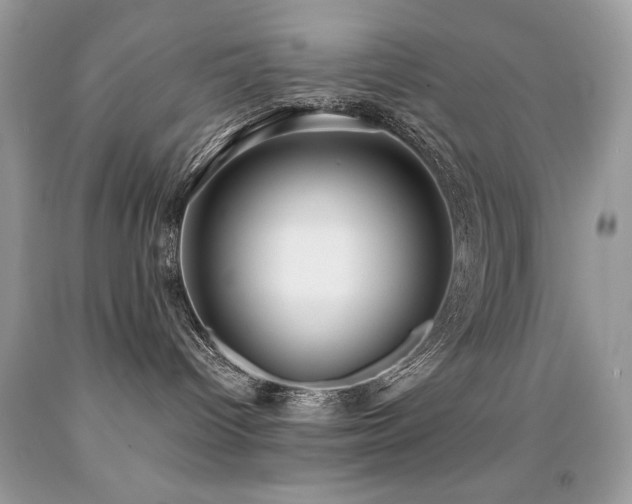 X0000091920096200709051449