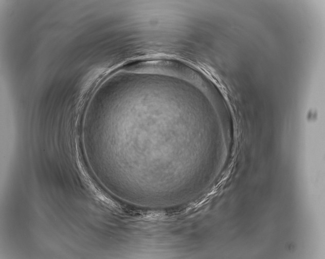 X0000091920097200709051449