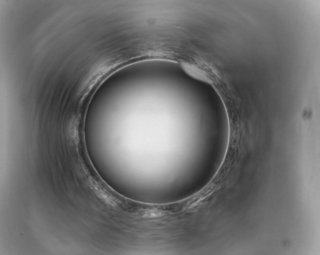 X0000091920098200709051449