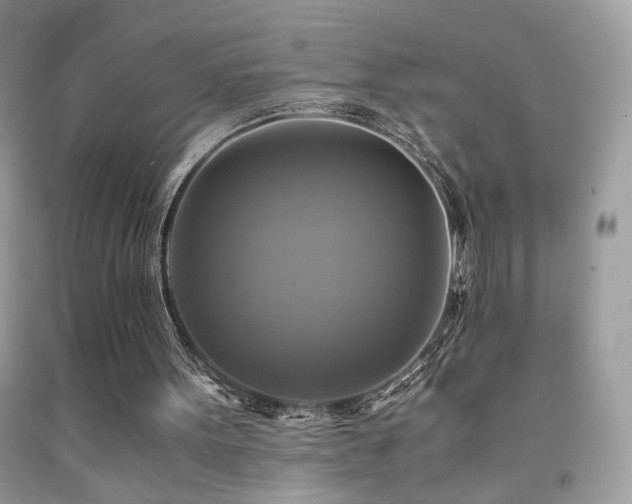 X0000091920099200709051449