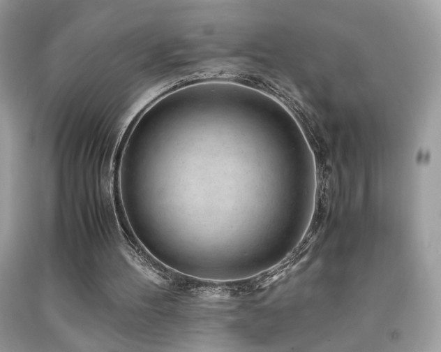 X0000091920100200709051449
