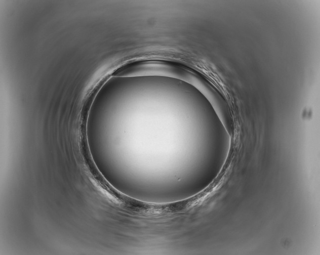 X0000091920101200709051449