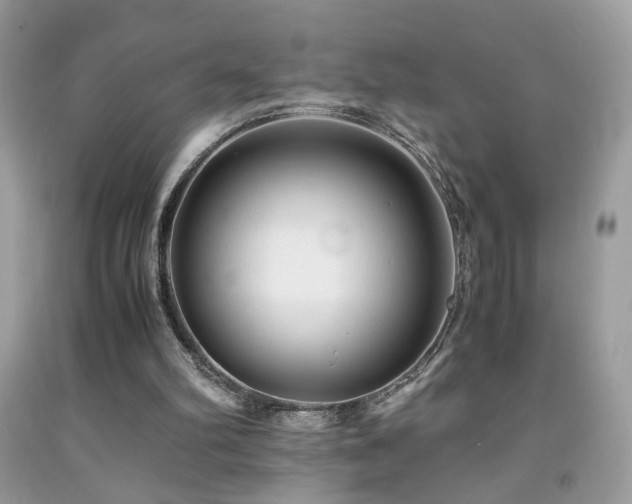 X0000091920102200709051449