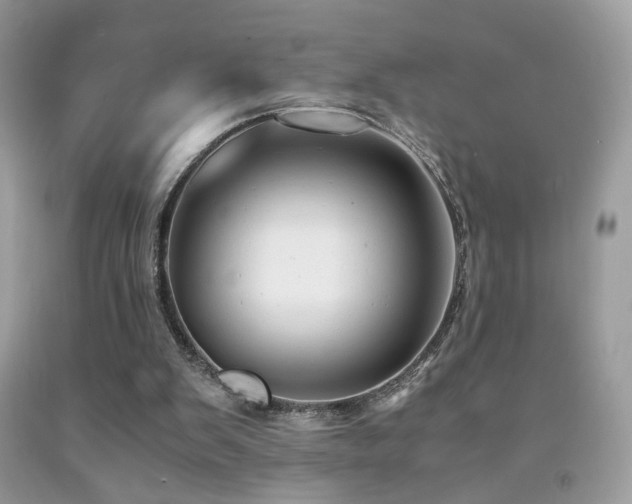 X0000091920103200709051449