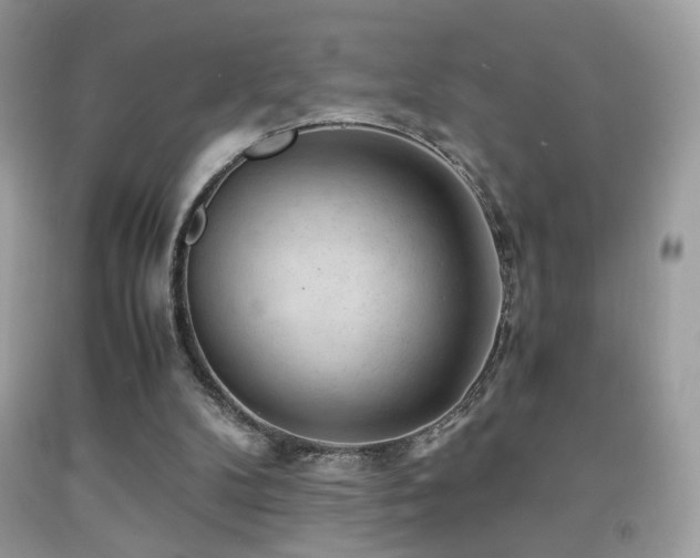X0000091920104200709051449