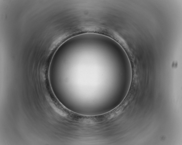 X0000091920106200709051449
