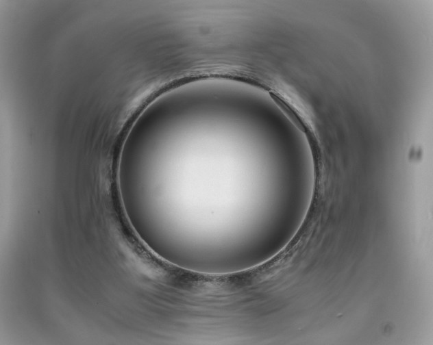 X0000091920107200709051449