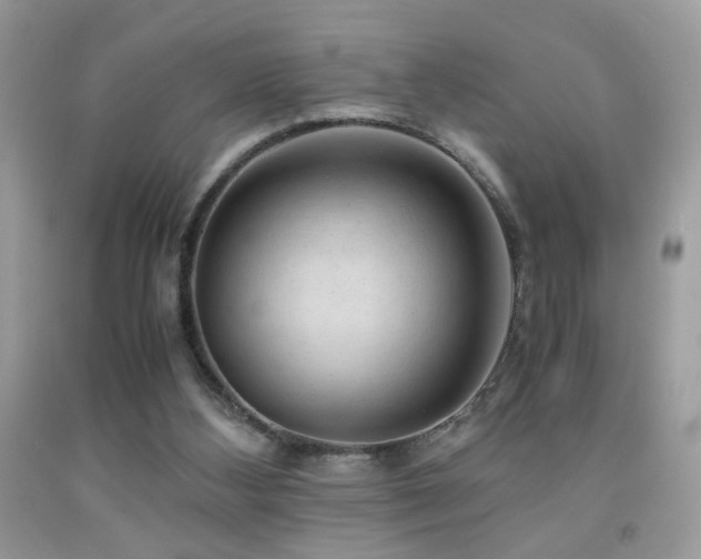 X0000091920108200709051449
