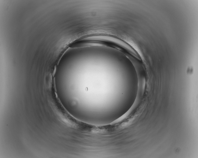 X0000091920109200709051449