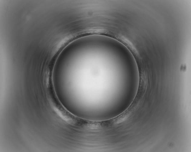 X0000091920110200709051449