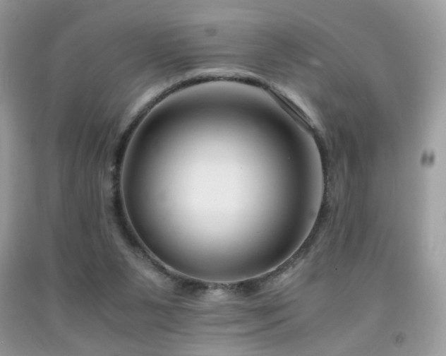 X0000091920111200709051449