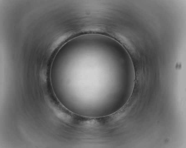 X0000091920112200709051449