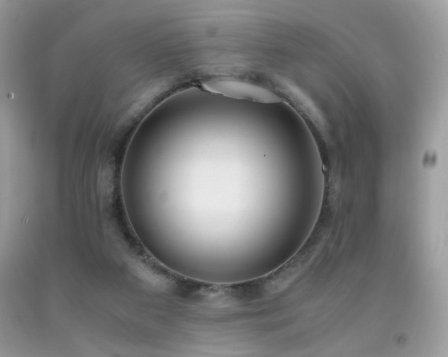 X0000091920113200709051449