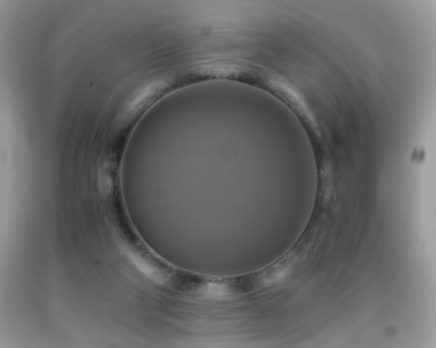 X0000091920114200709051449