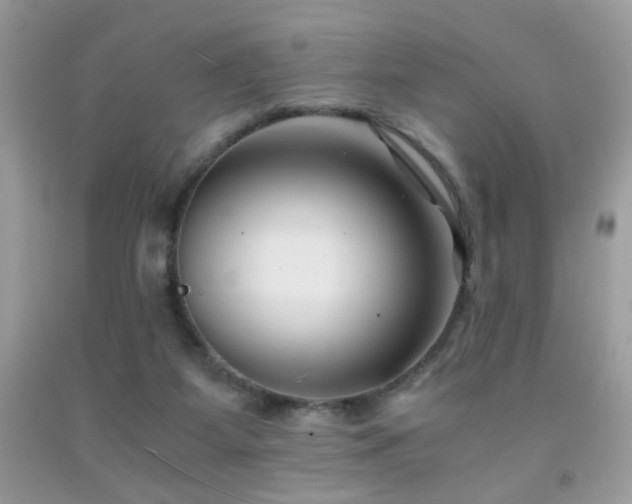 X0000091920115200709051449