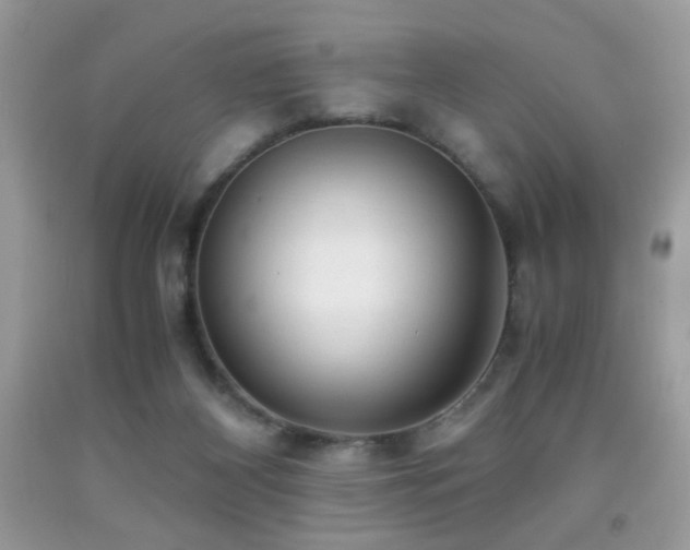 X0000091920116200709051449