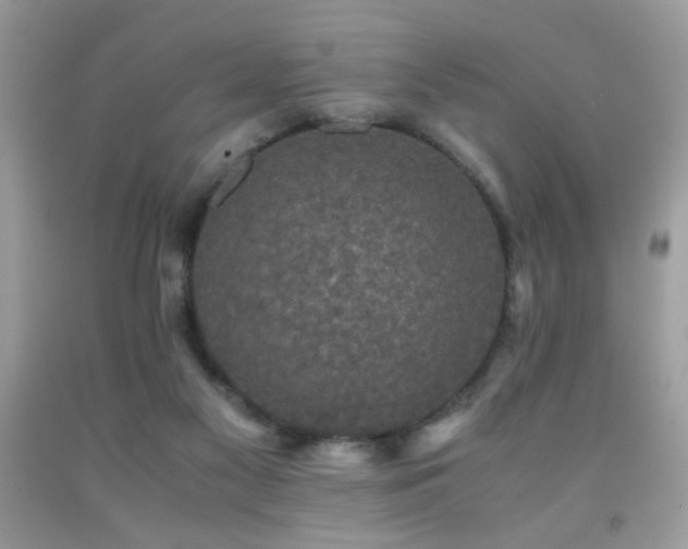 X0000091920117200709051449