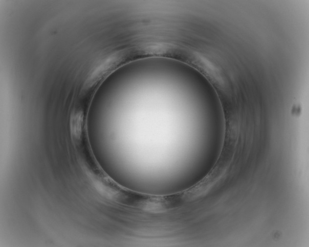 X0000091920118200709051448