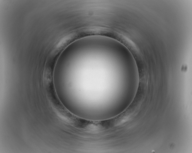 X0000091920119200709051448