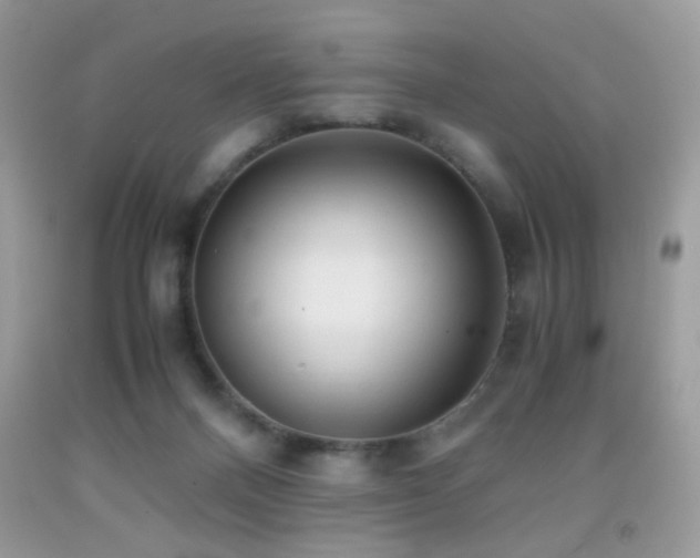 X0000091920120200709051448