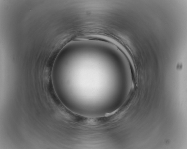 X0000091920121200709051448