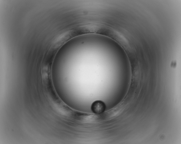 X0000091920122200709051448