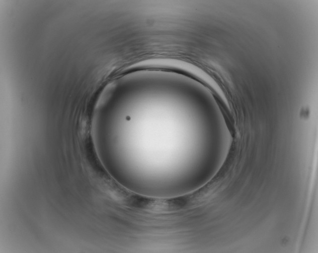 X0000091920123200709051448