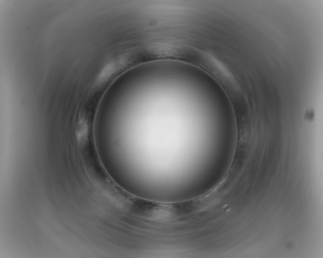 X0000091920124200709051448