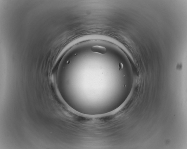 X0000091920125200709051448