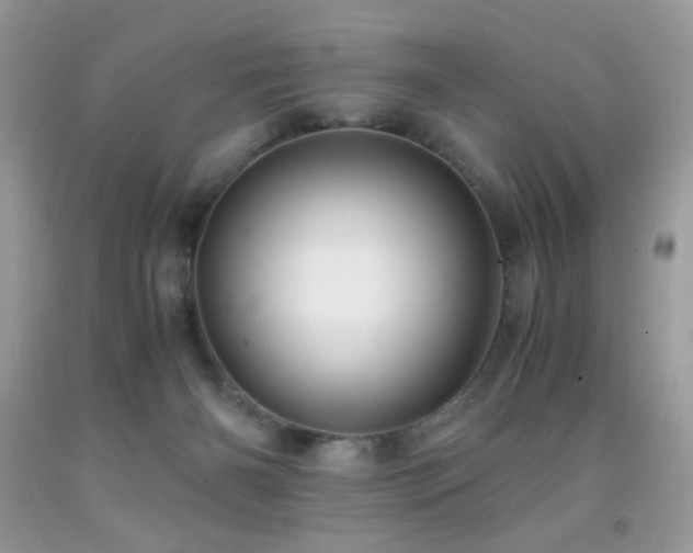 X0000091920126200709051448