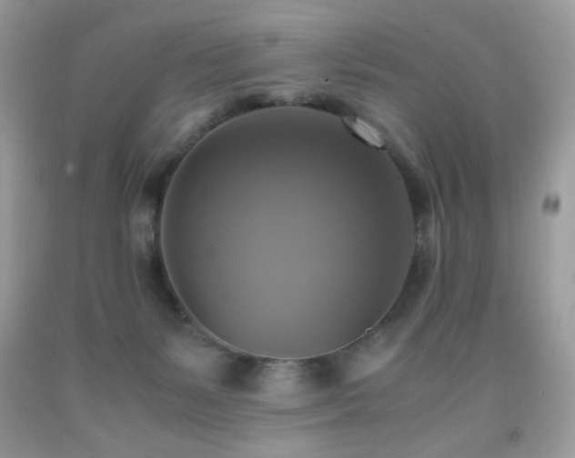 X0000091920127200709051448