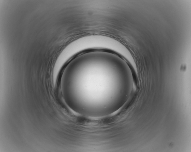 X0000091920129200709051448