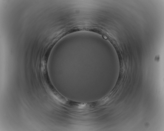 X0000091920130200709051448