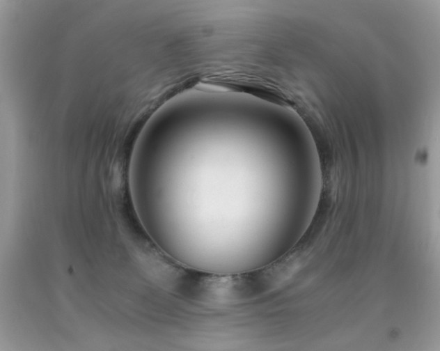 X0000091920131200709051448