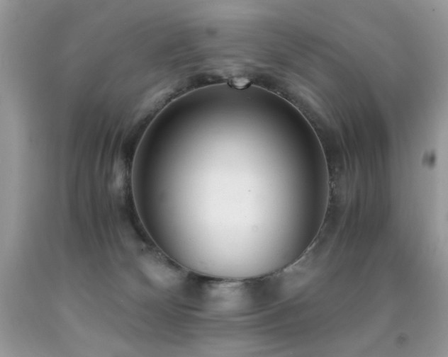 X0000091920132200709051448