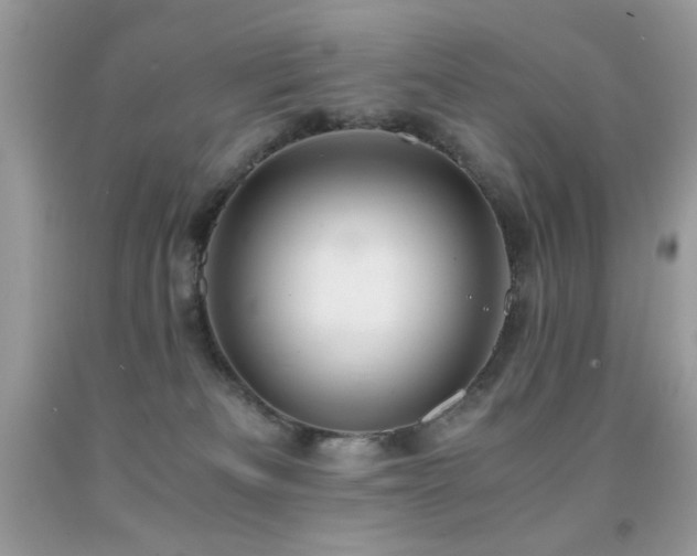 X0000091920133200709051448
