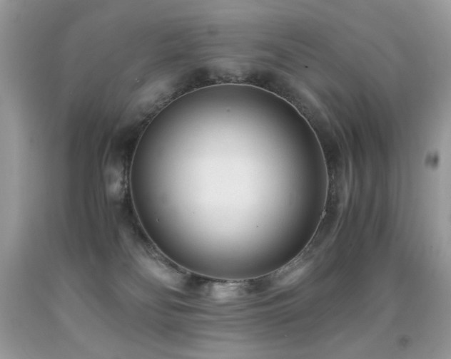 X0000091920134200709051448