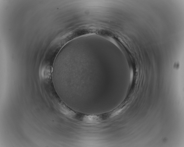 X0000091920137200709051448