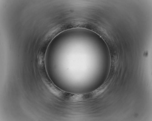 X0000091920138200709051448