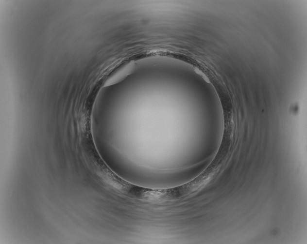 X0000091920139200709051448