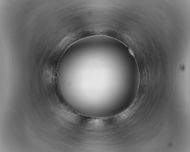 X0000091920140200709051448