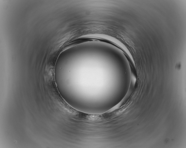X0000091920141200709051448