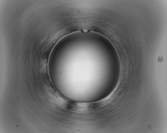 X0000091920144200709051448