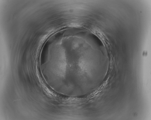 X0000091920145200709051447