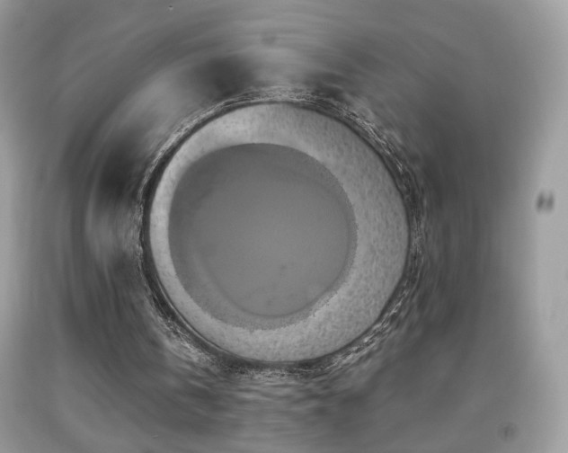 X0000091920146200709051447