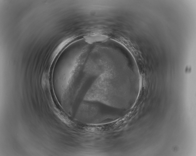 X0000091920147200709051447