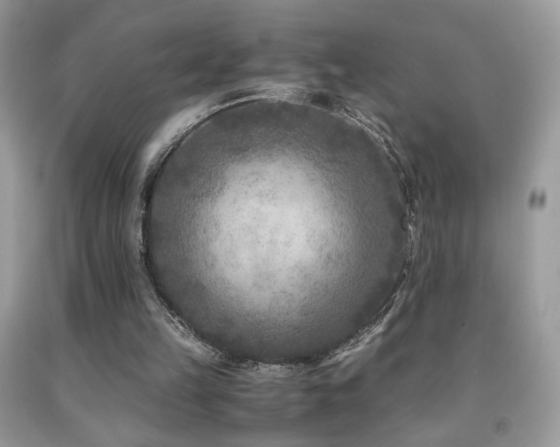 X0000091920149200709051447